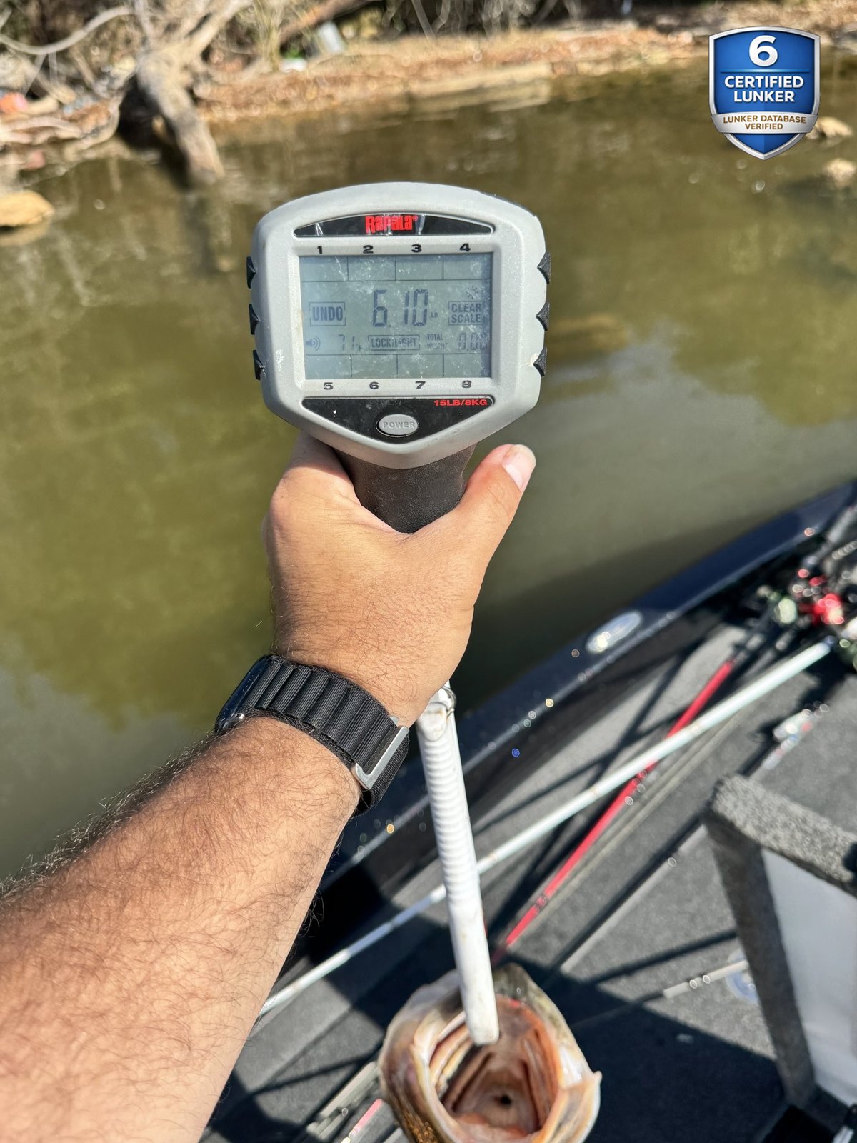 Largemouth Bass catch photo 2