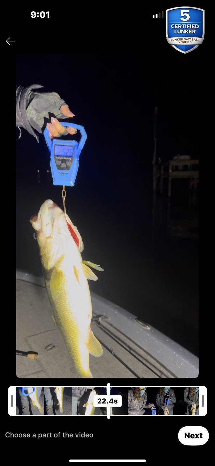 Largemouth Bass catch photo 2