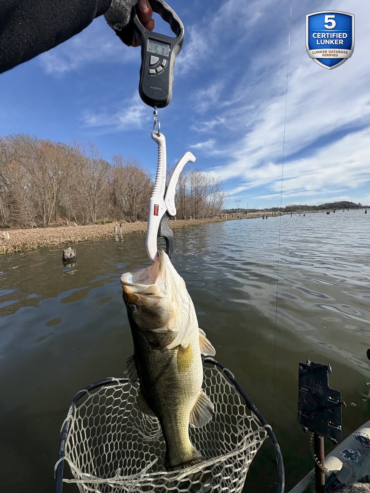Largemouth Bass catch photo 2