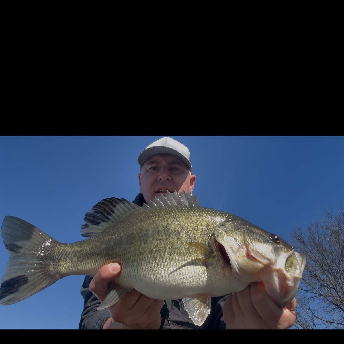 Largemouth Bass — 4 lbs 15 oz