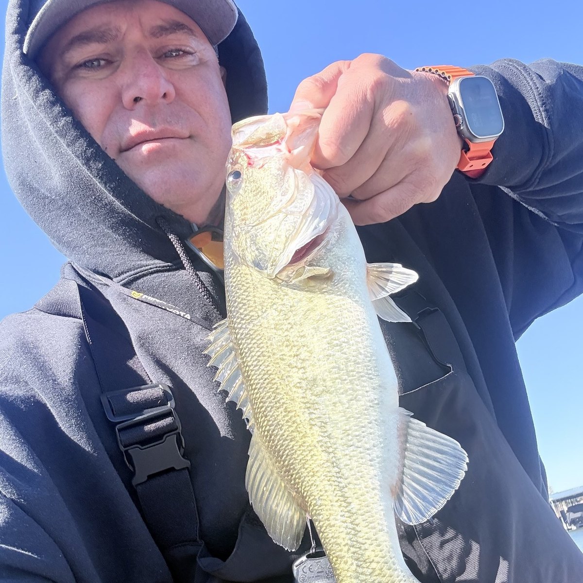 Largemouth Bass — 1 lbs