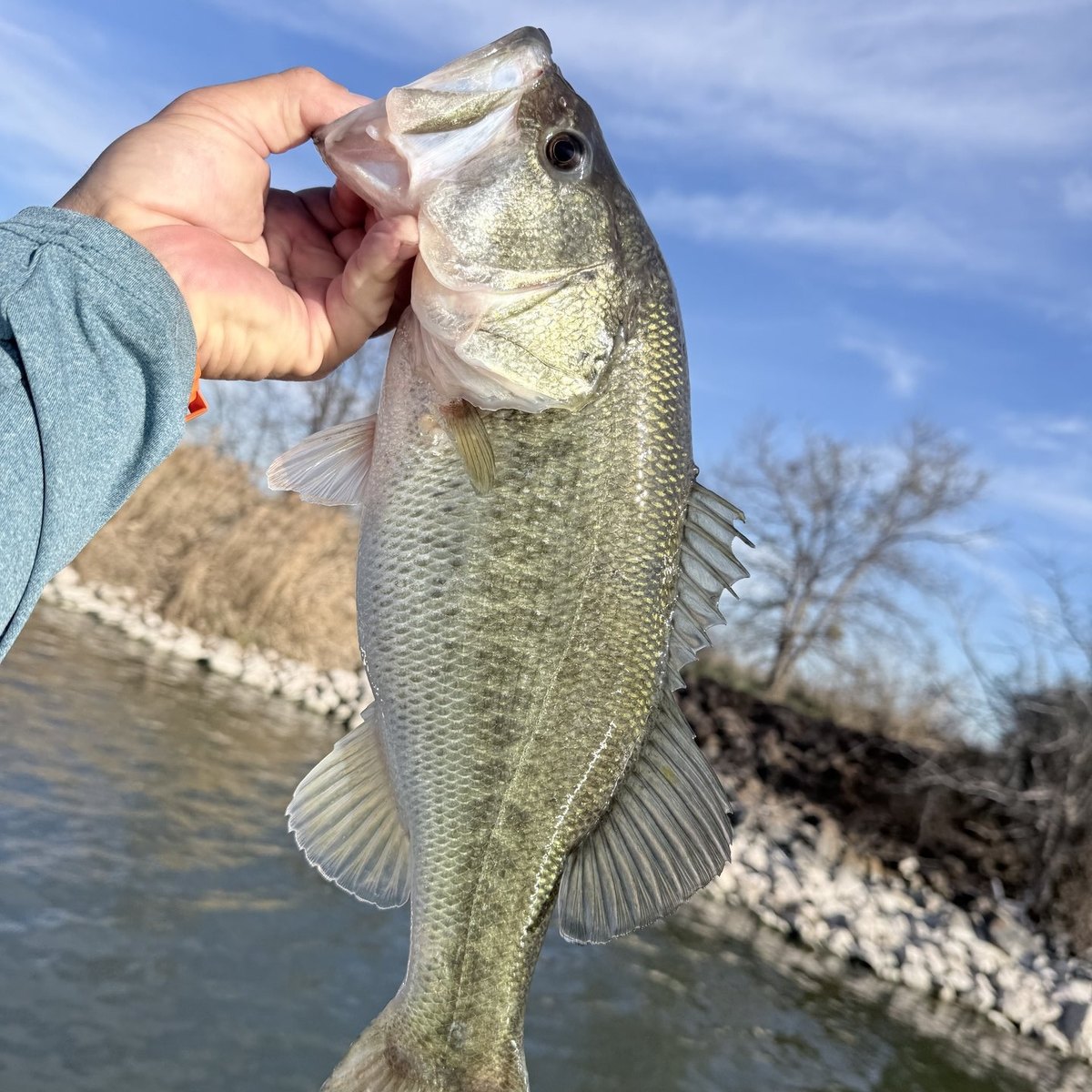 Largemouth Bass — 1 lbs 6 oz