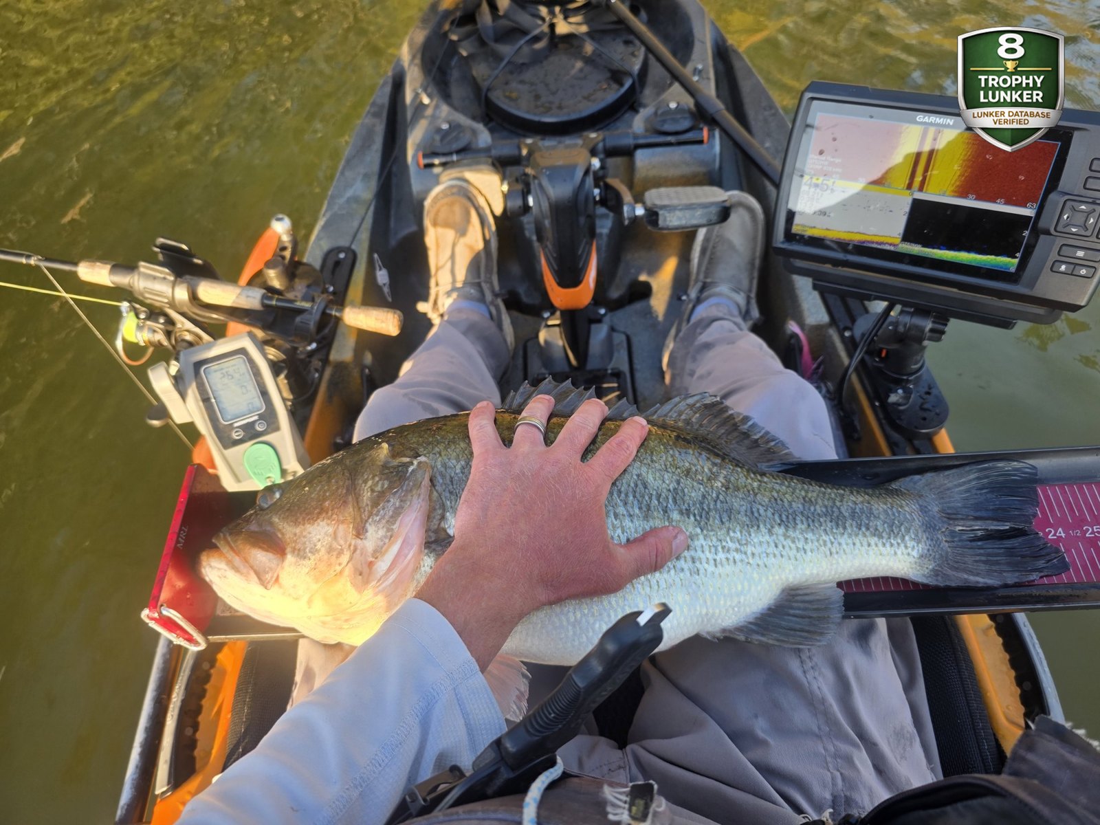 Largemouth Bass catch photo 3