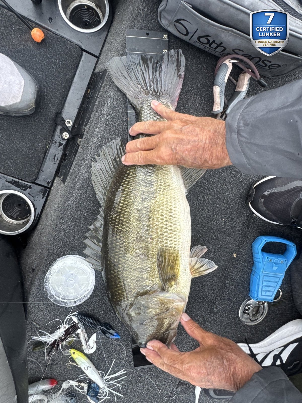 Largemouth Bass catch photo 2