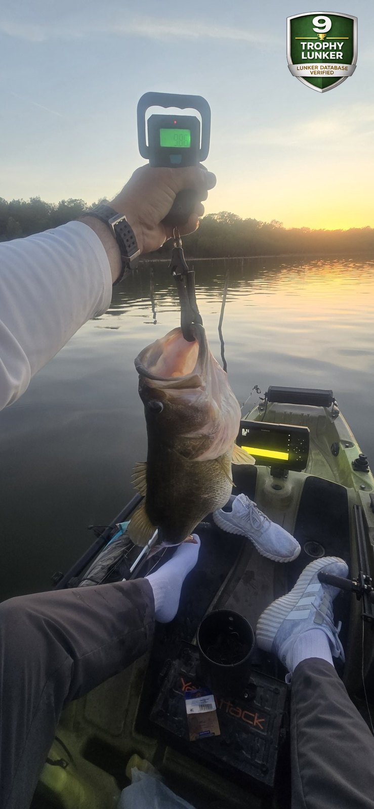 Largemouth Bass catch photo 2