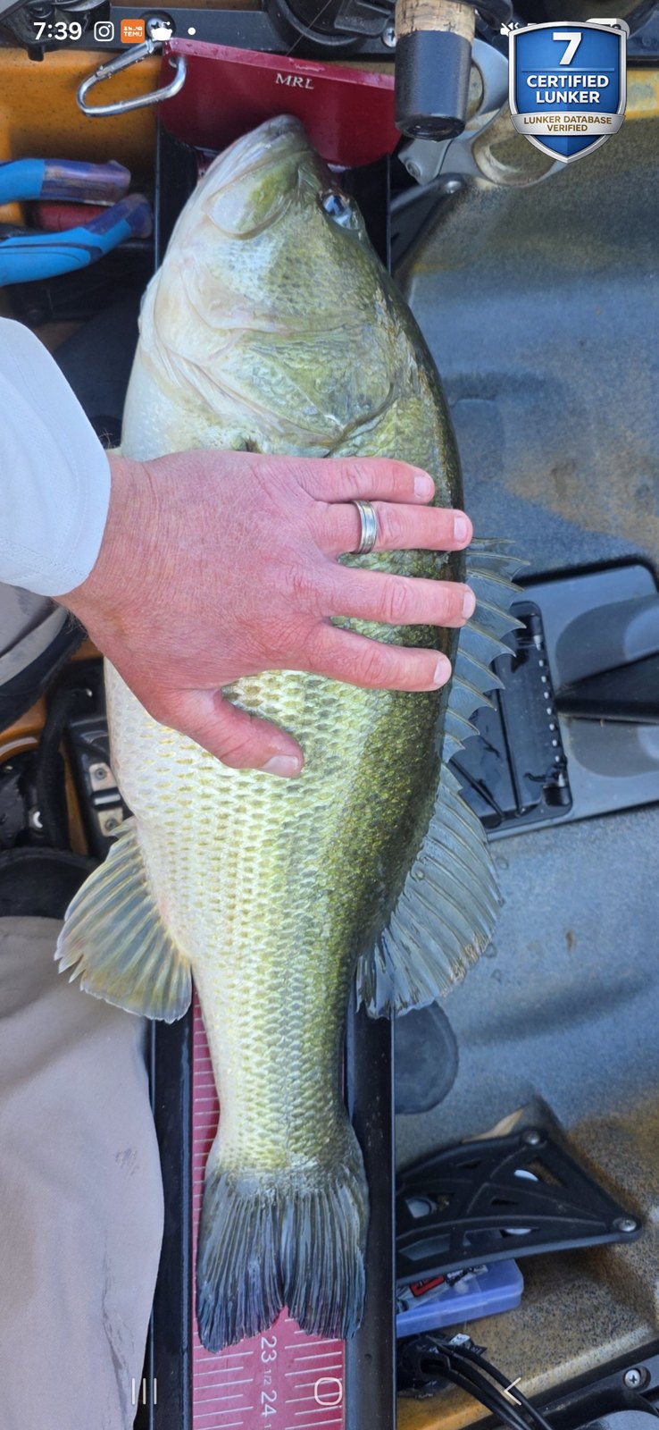 Largemouth Bass catch photo 1