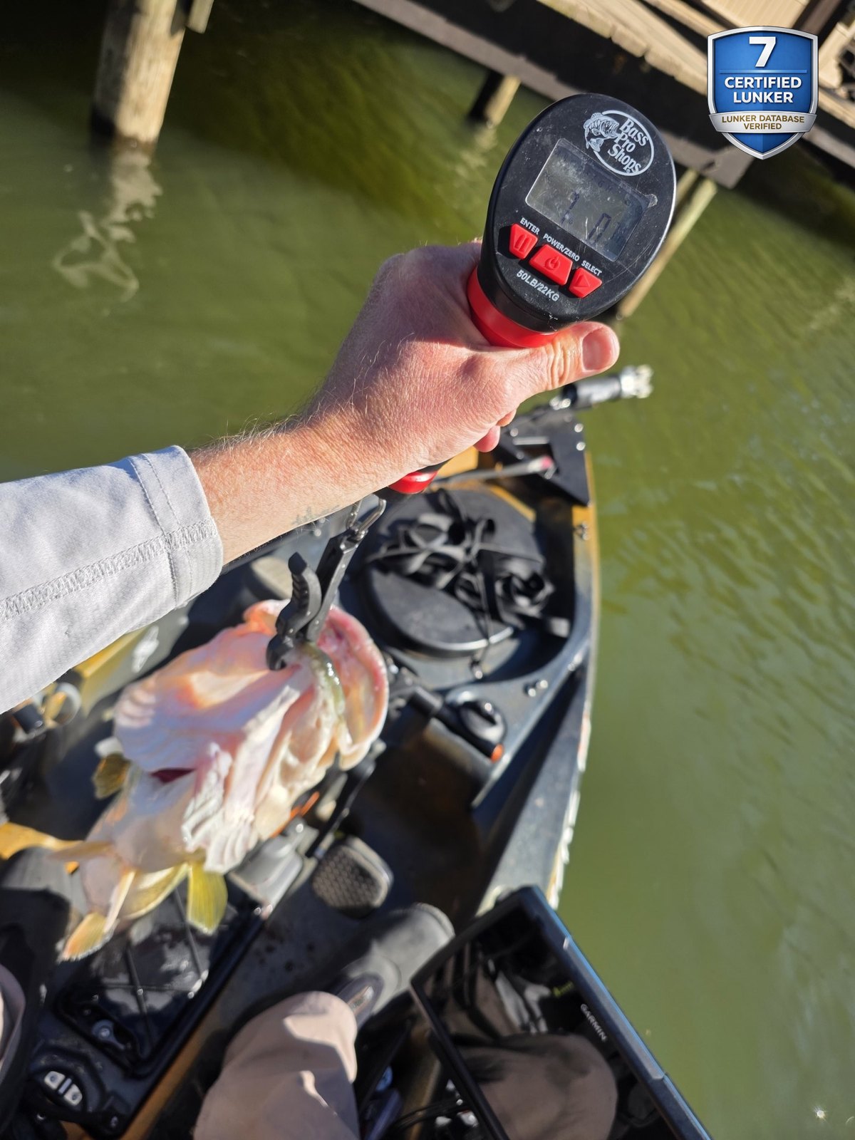 Largemouth Bass catch photo 2