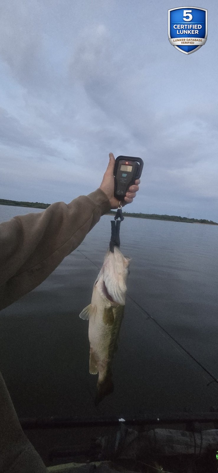 Largemouth Bass catch photo 2