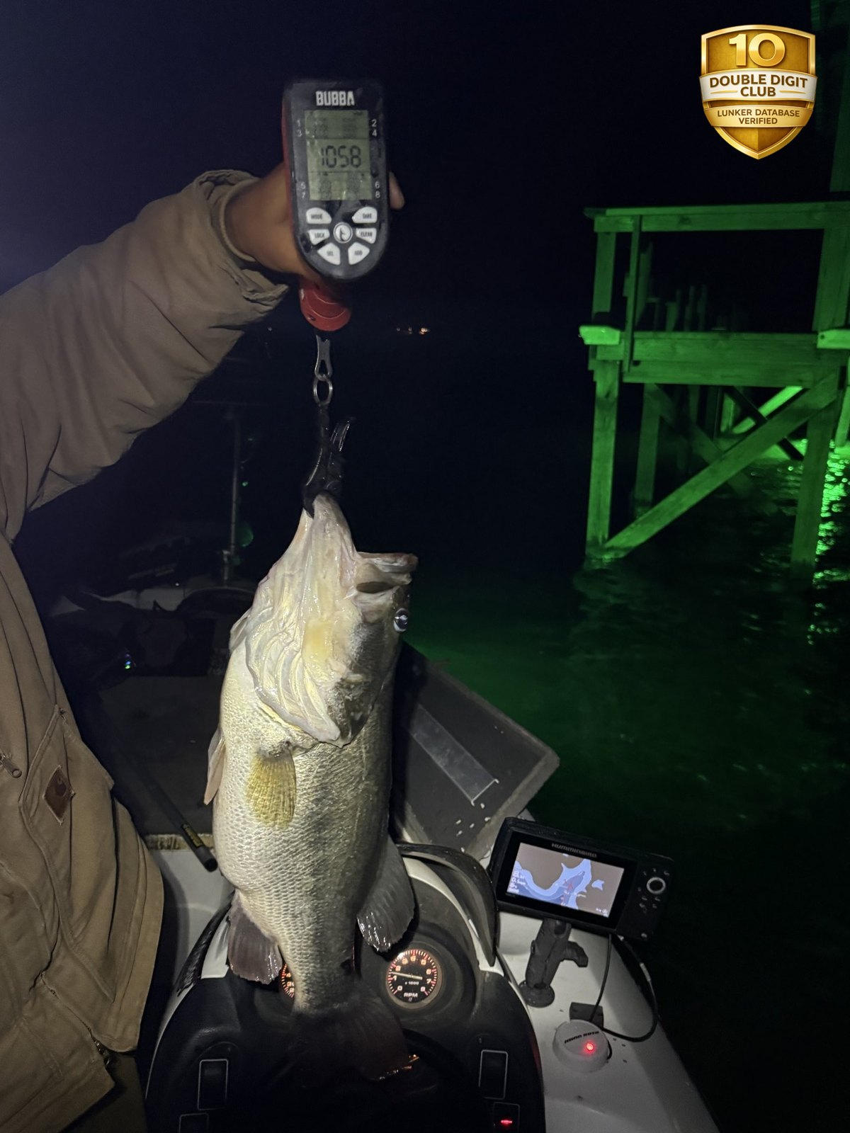 Largemouth Bass catch photo 2