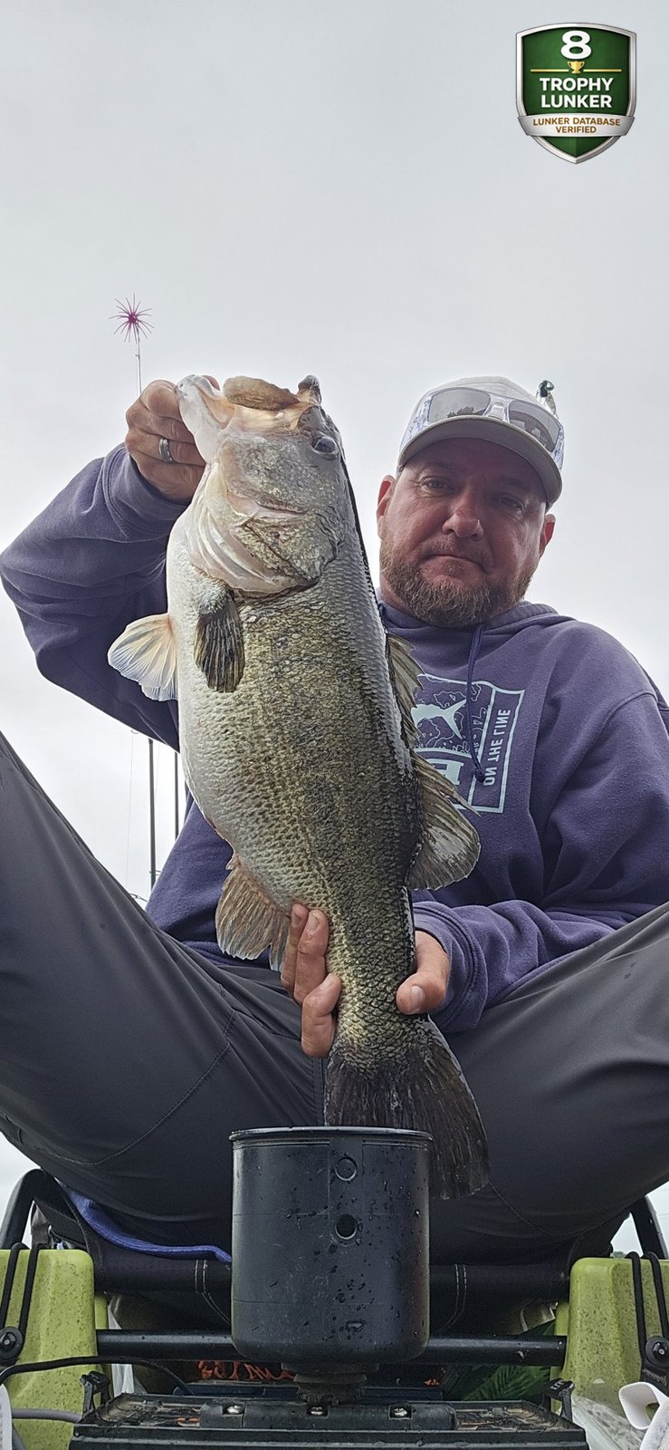 Largemouth Bass catch photo 1