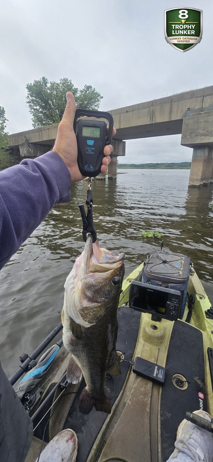 Largemouth Bass catch photo 2