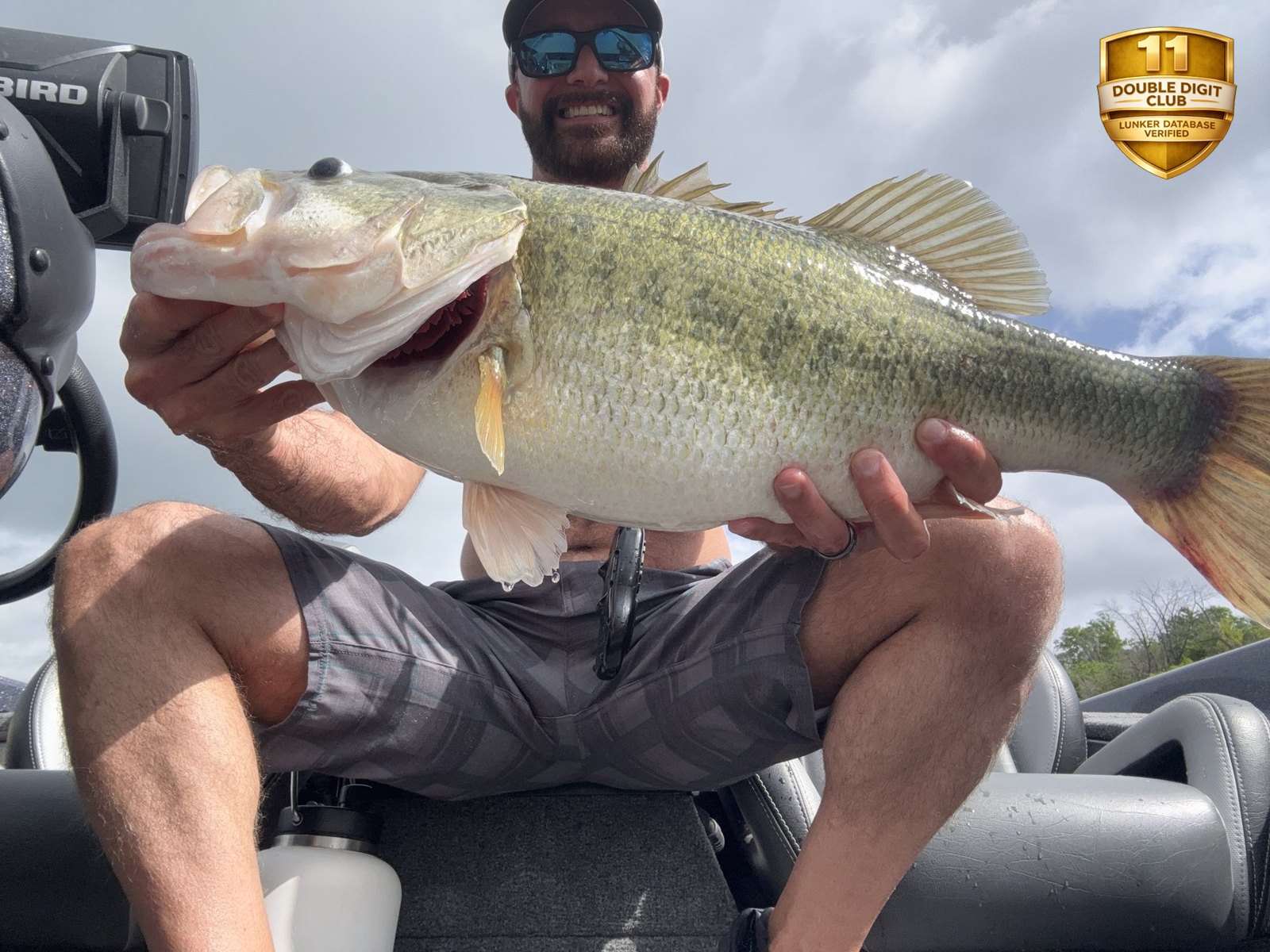 Largemouth Bass catch photo 1