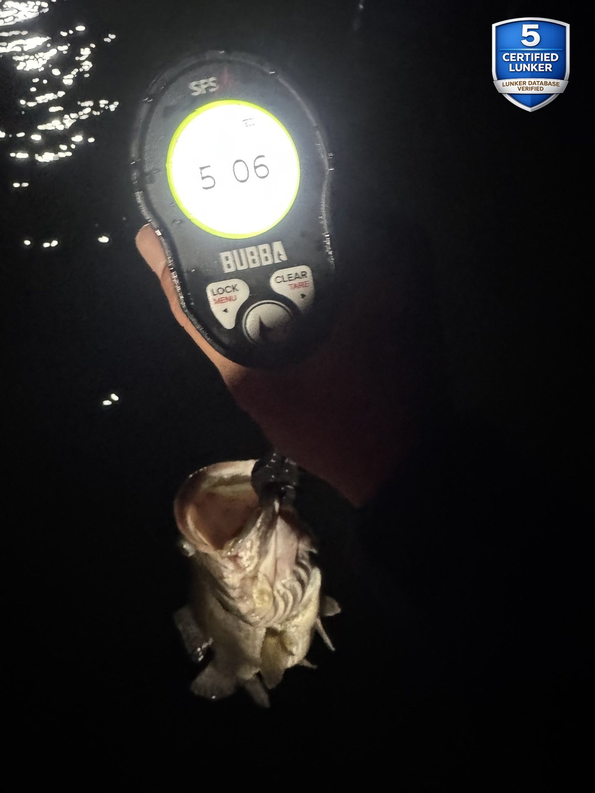 Largemouth Bass catch photo 2