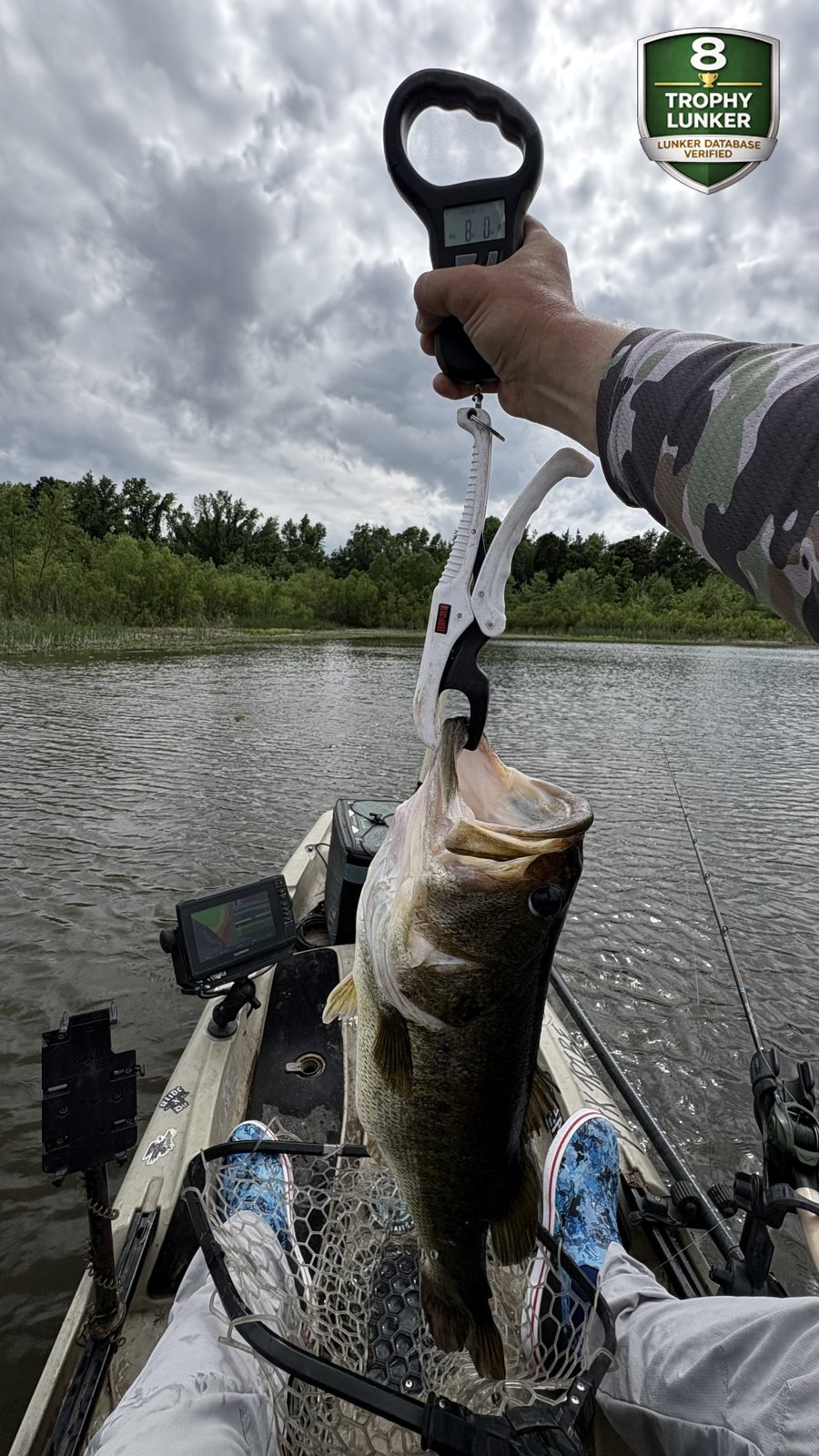 Largemouth Bass catch photo 2
