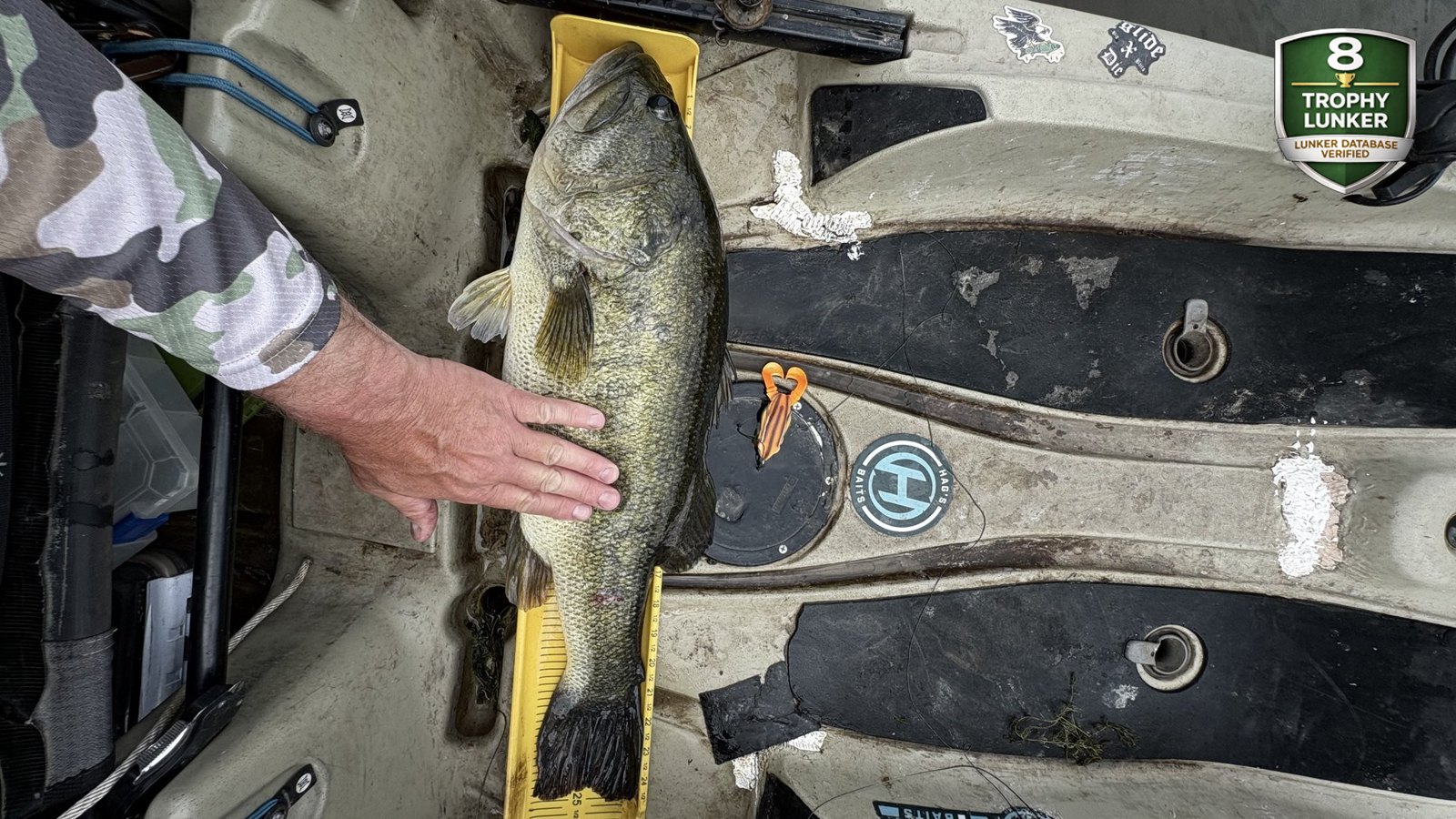 Largemouth Bass catch photo 3