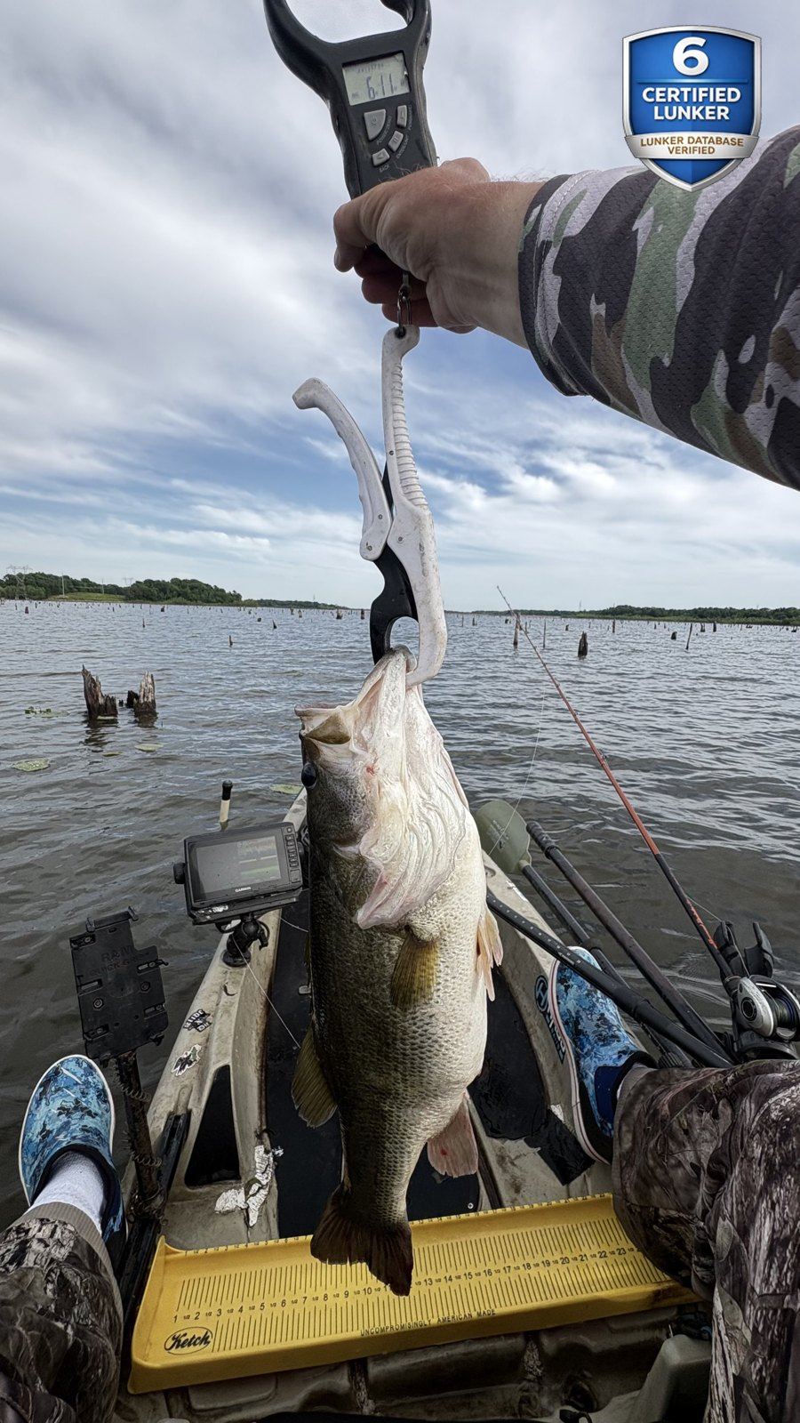 Largemouth Bass catch photo 2
