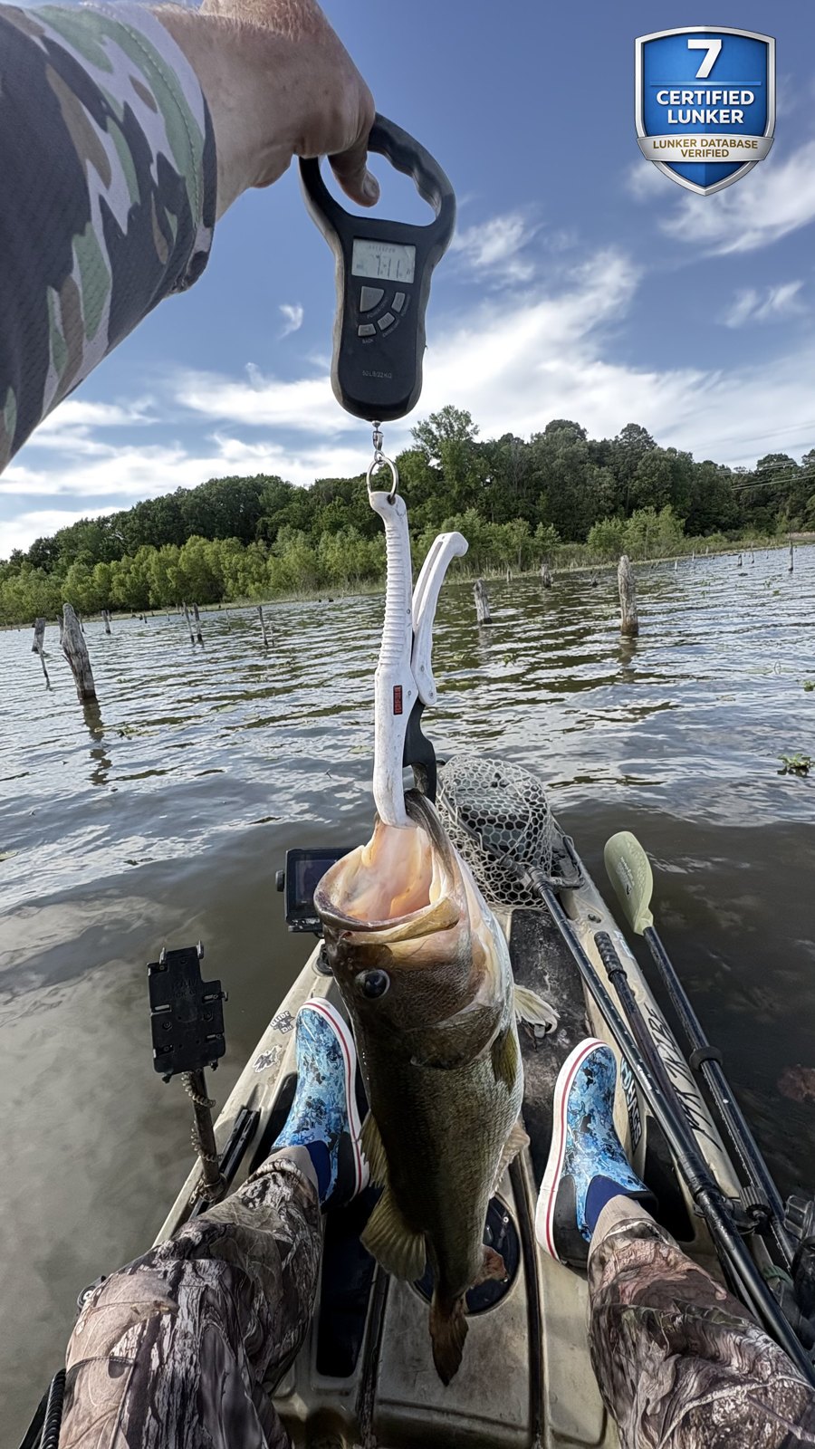 Largemouth Bass catch photo 2