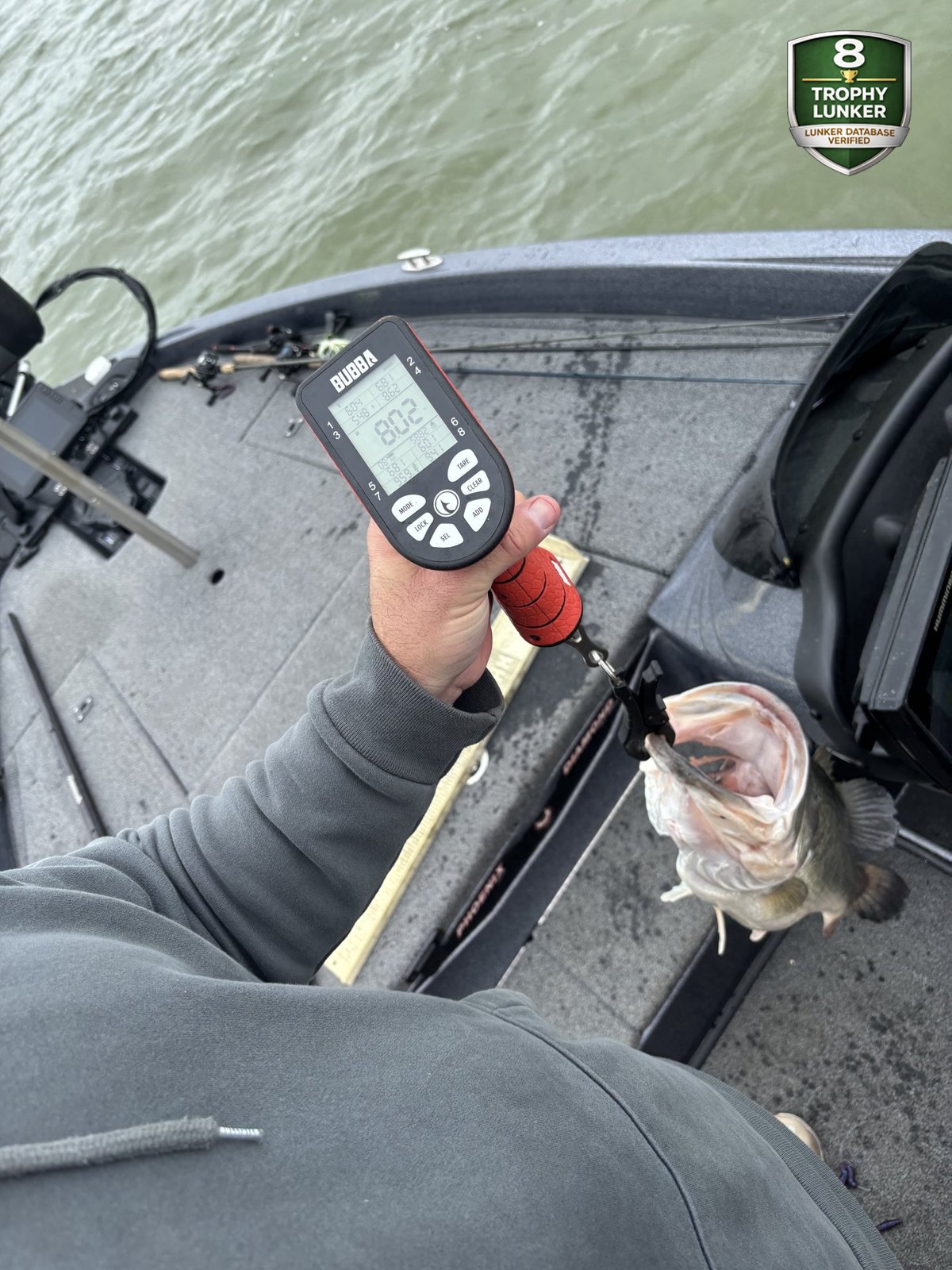 Largemouth Bass catch photo 2
