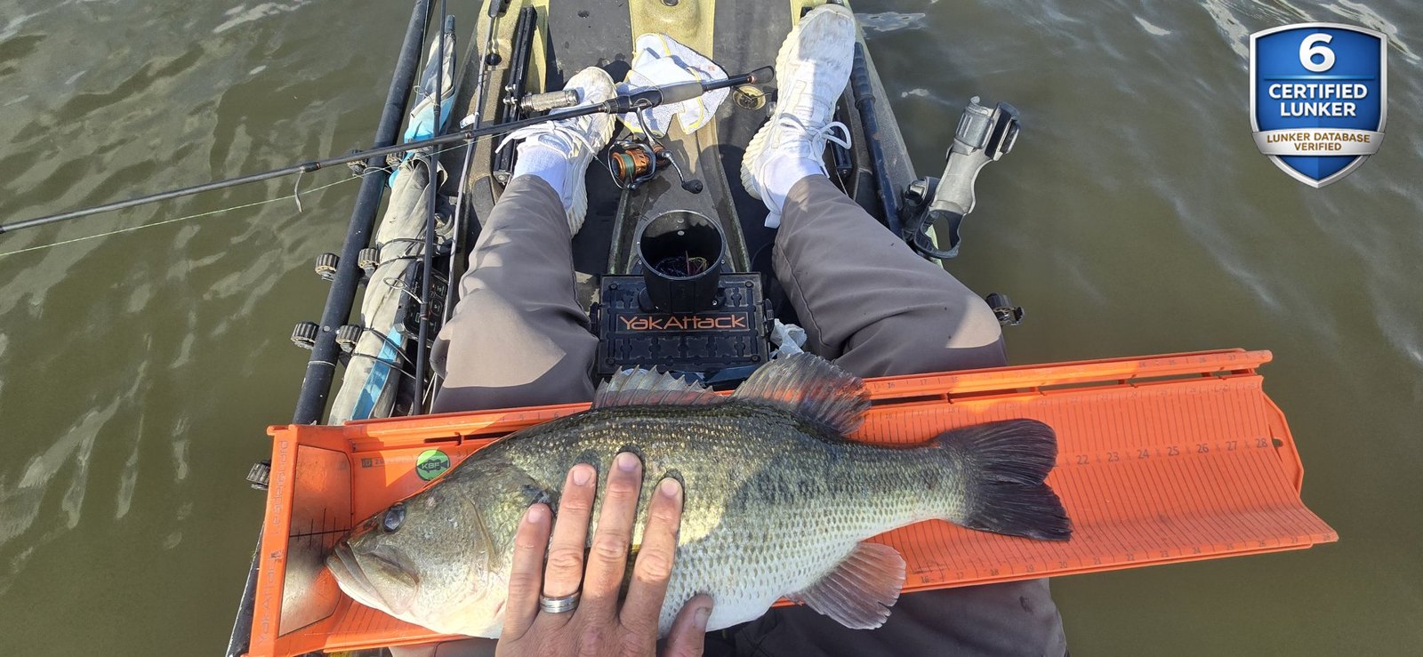 Largemouth Bass catch photo 3