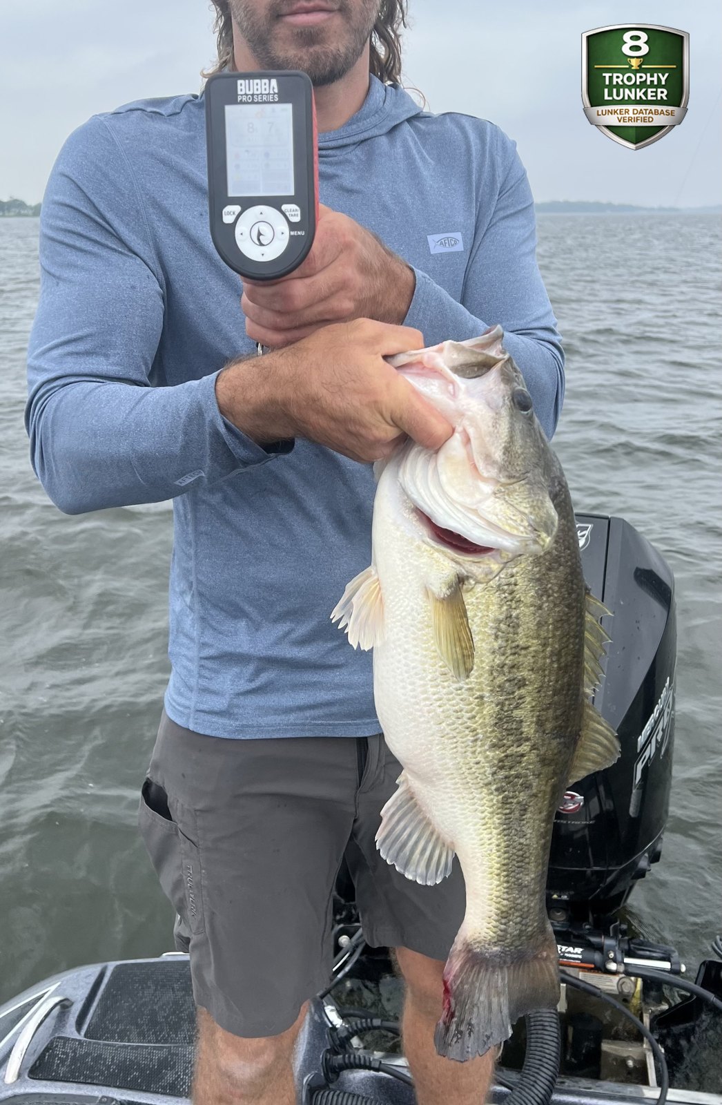 Largemouth Bass catch photo 2