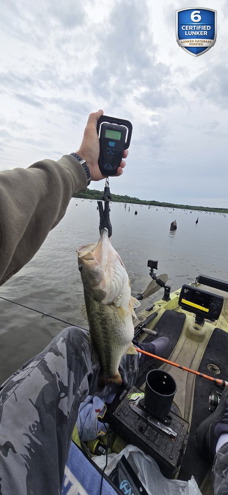 Largemouth Bass catch photo 2