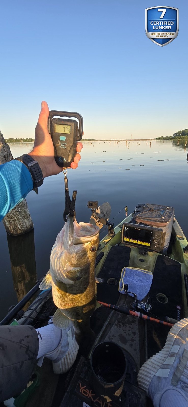 Largemouth Bass catch photo 2