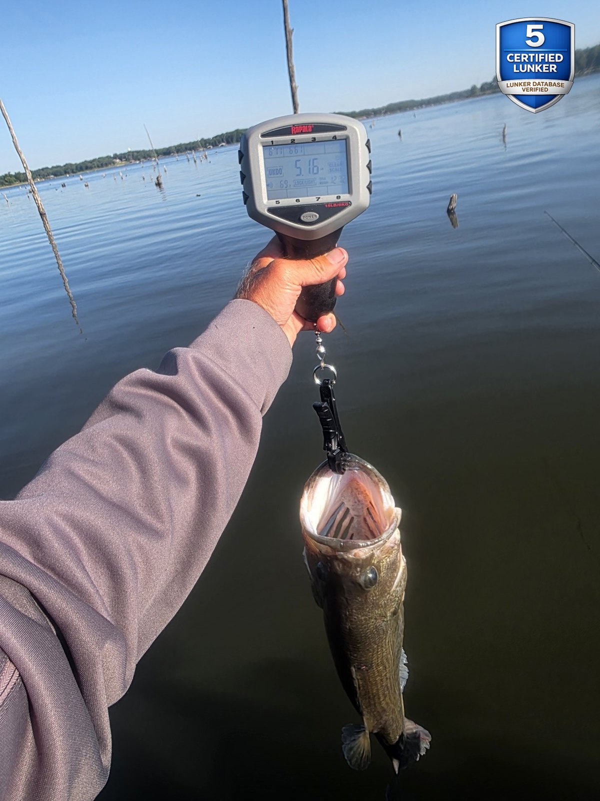 Largemouth Bass catch photo 2