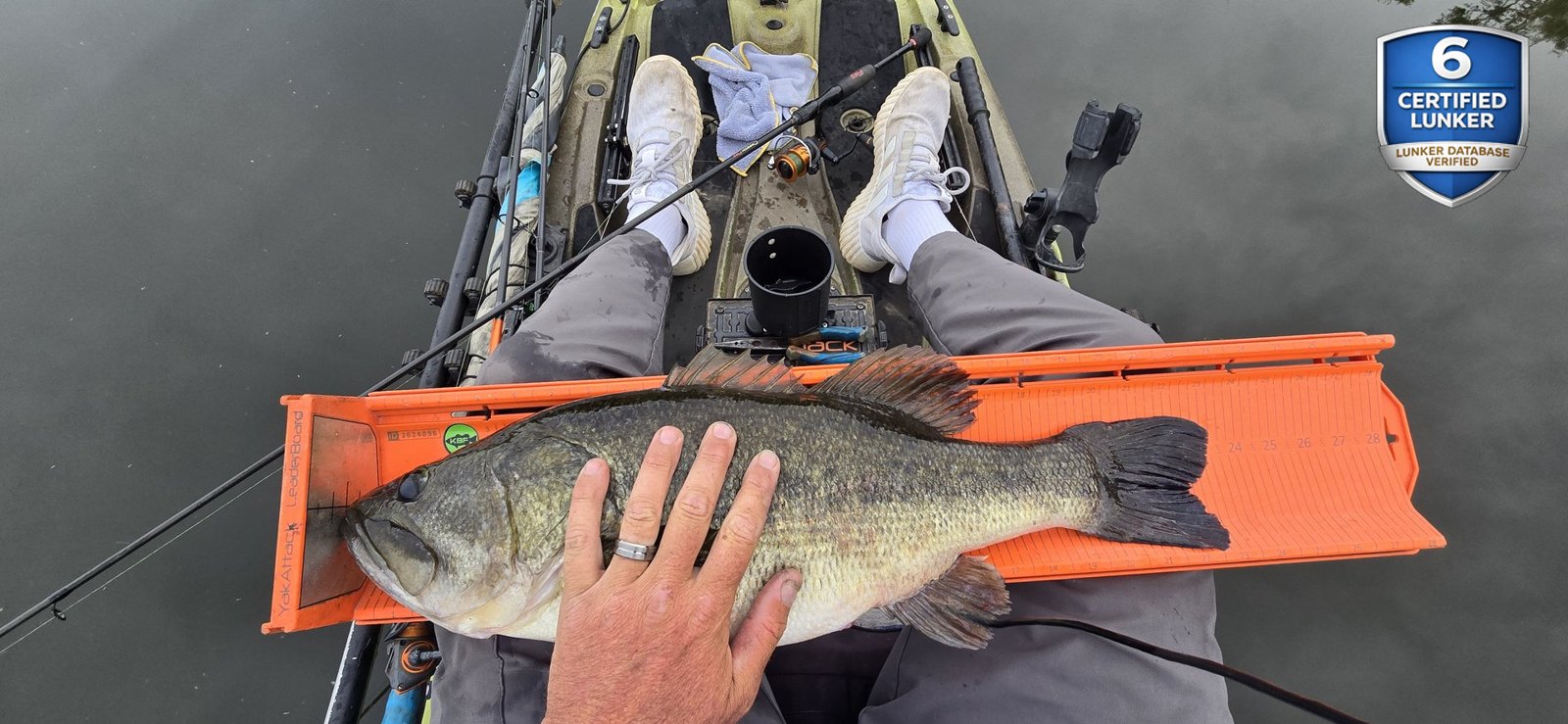 Largemouth Bass catch photo 3