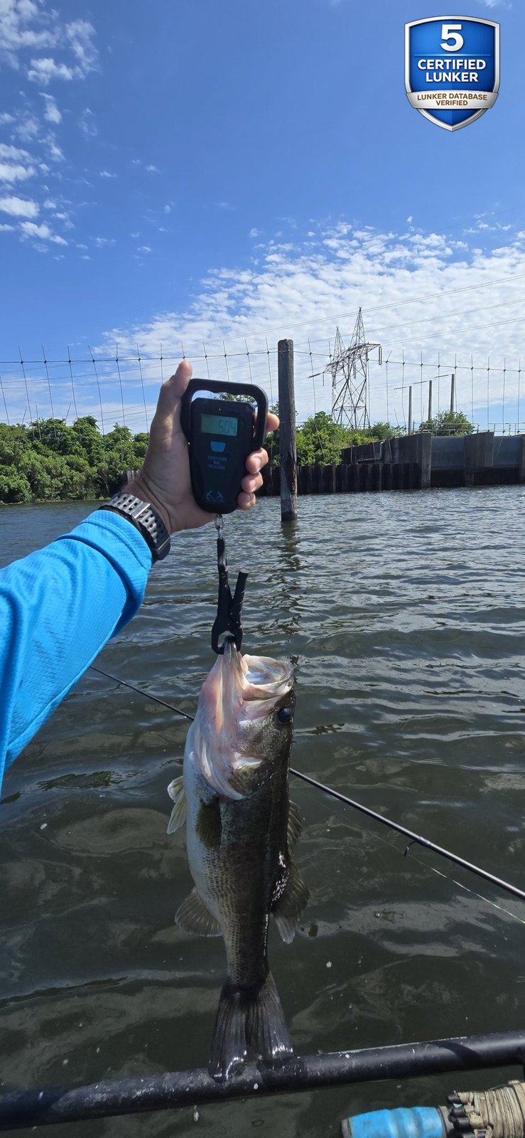 Largemouth Bass catch photo 2