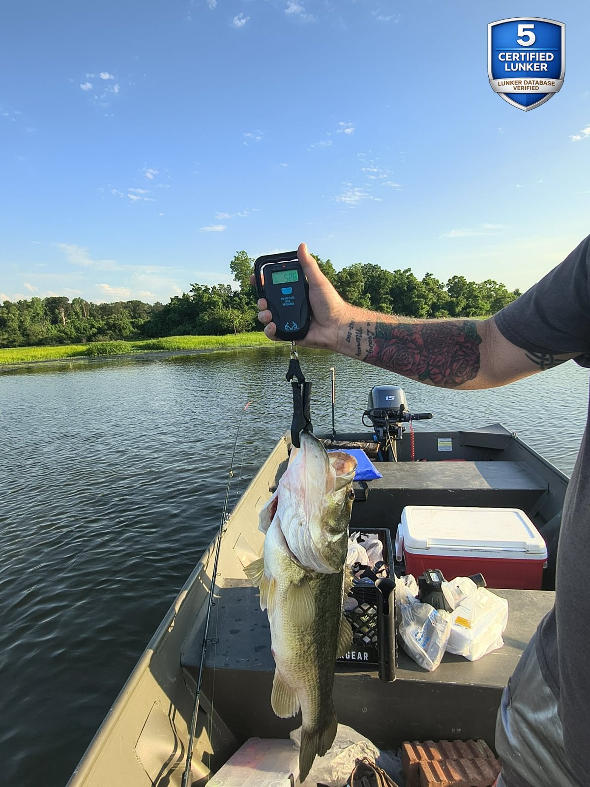 Largemouth Bass catch photo 2
