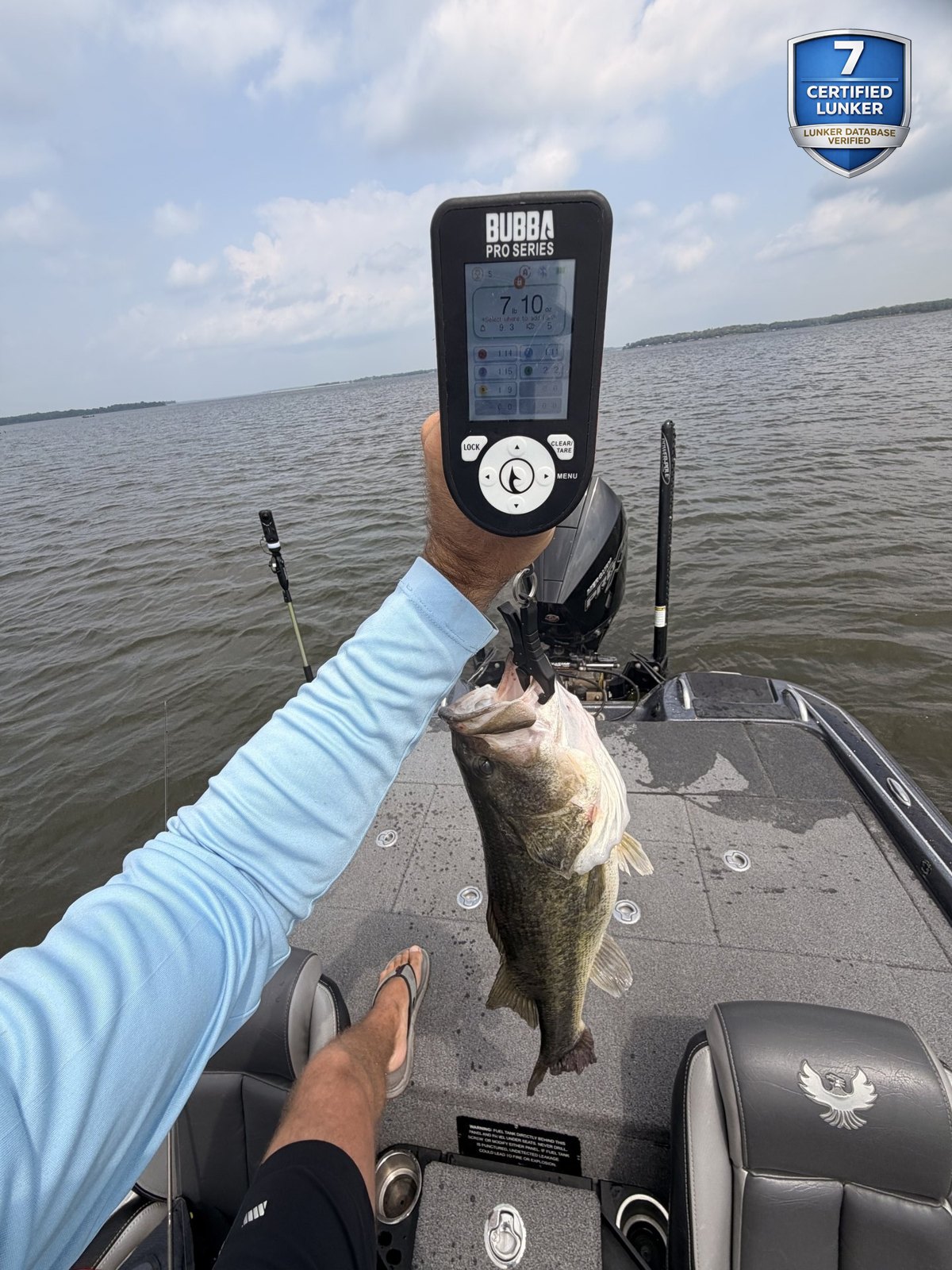 Largemouth Bass catch photo 2