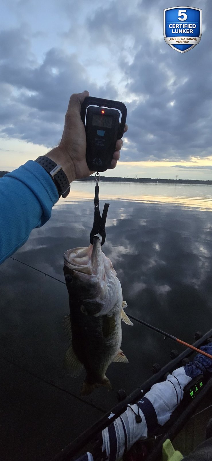 Largemouth Bass catch photo 2