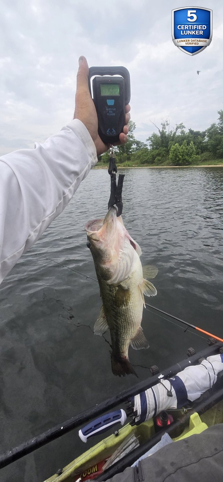 Largemouth Bass catch photo 2