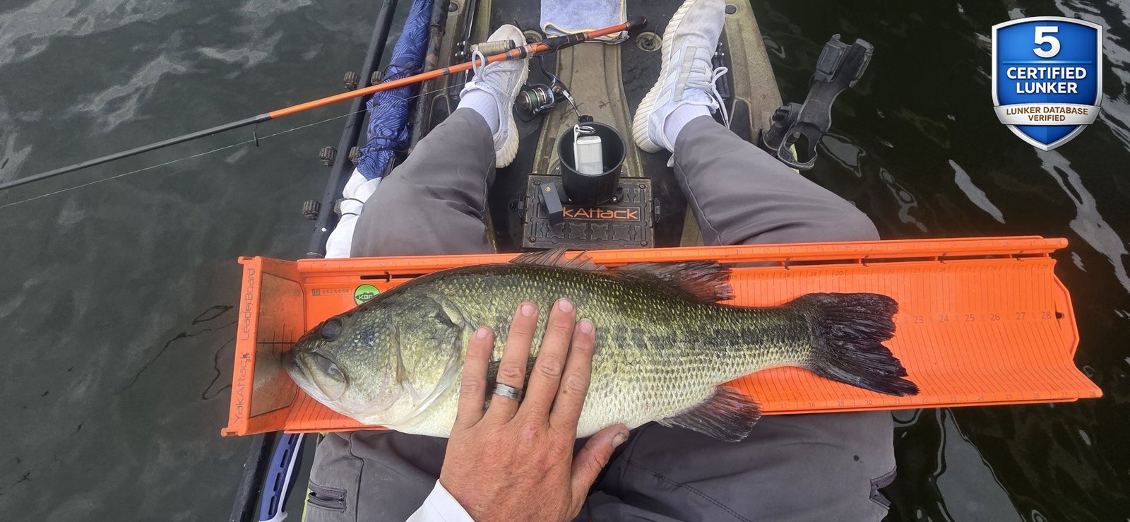 Largemouth Bass catch photo 3