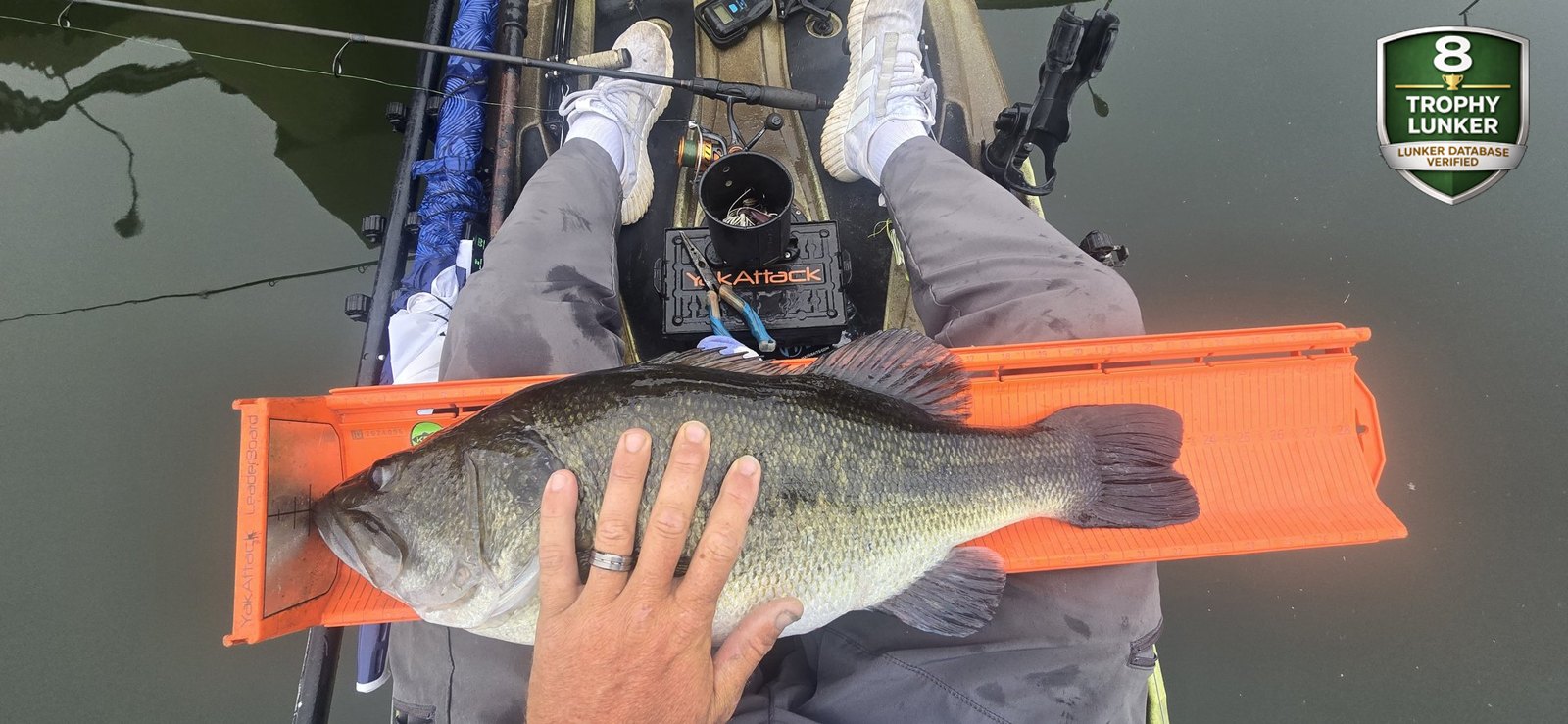 Largemouth Bass catch photo 3