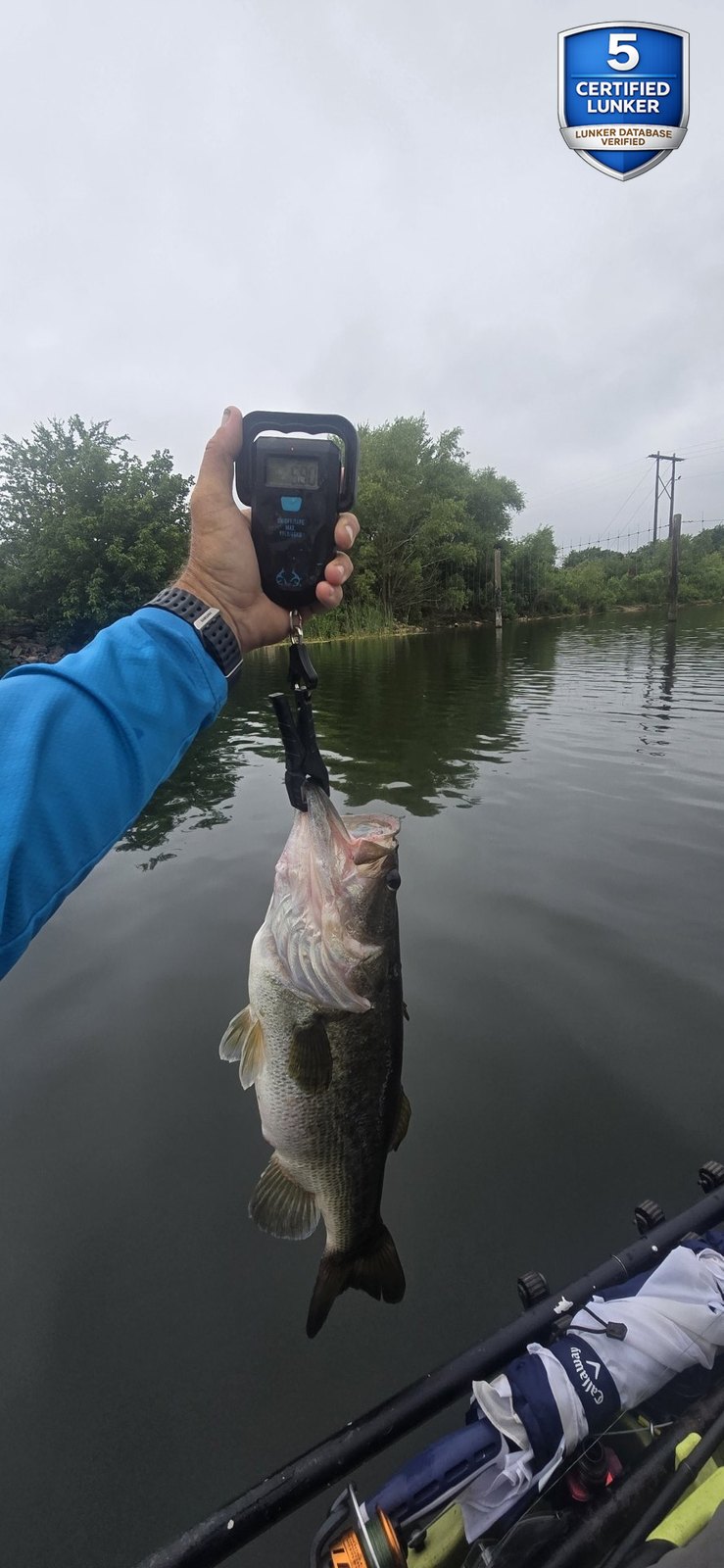 Largemouth Bass catch photo 2
