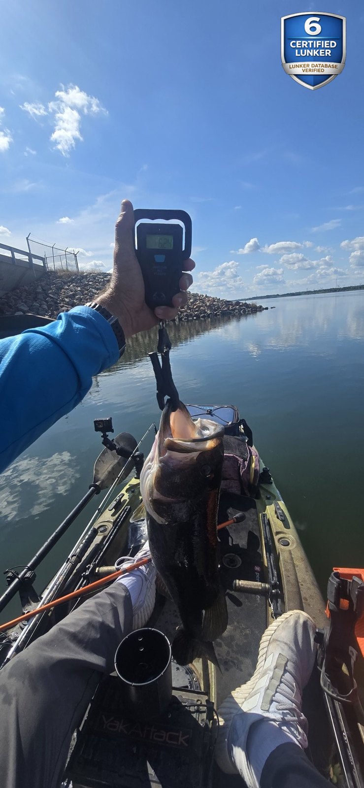 Largemouth Bass catch photo 2
