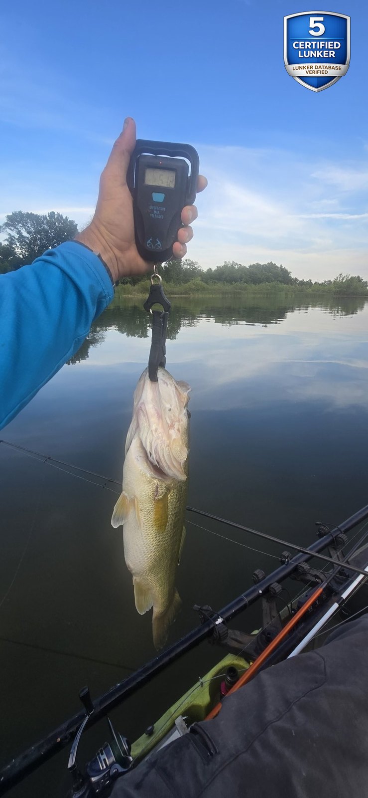 Largemouth Bass catch photo 2