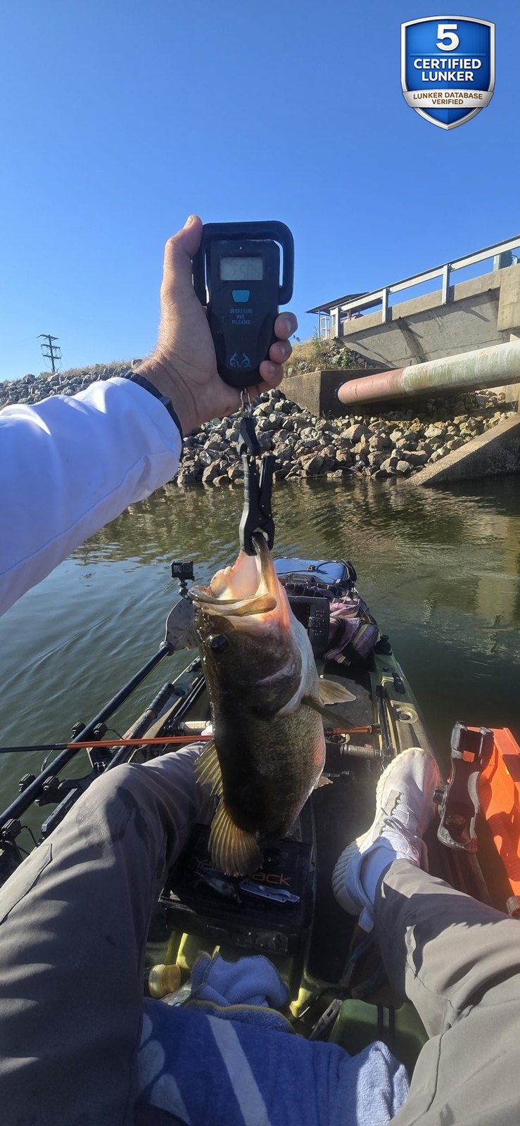 Largemouth Bass catch photo 2