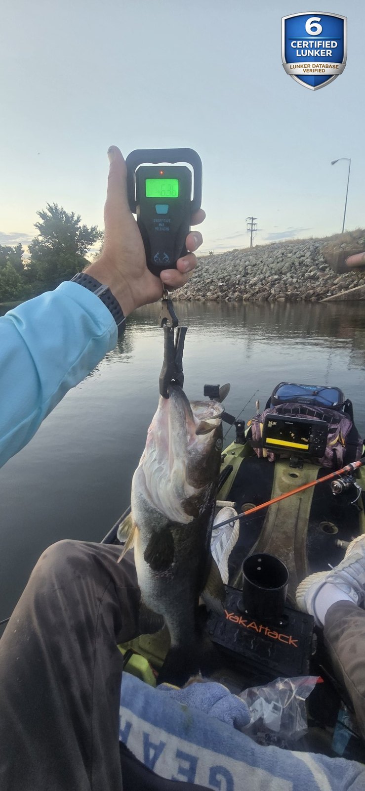 Largemouth Bass catch photo 2