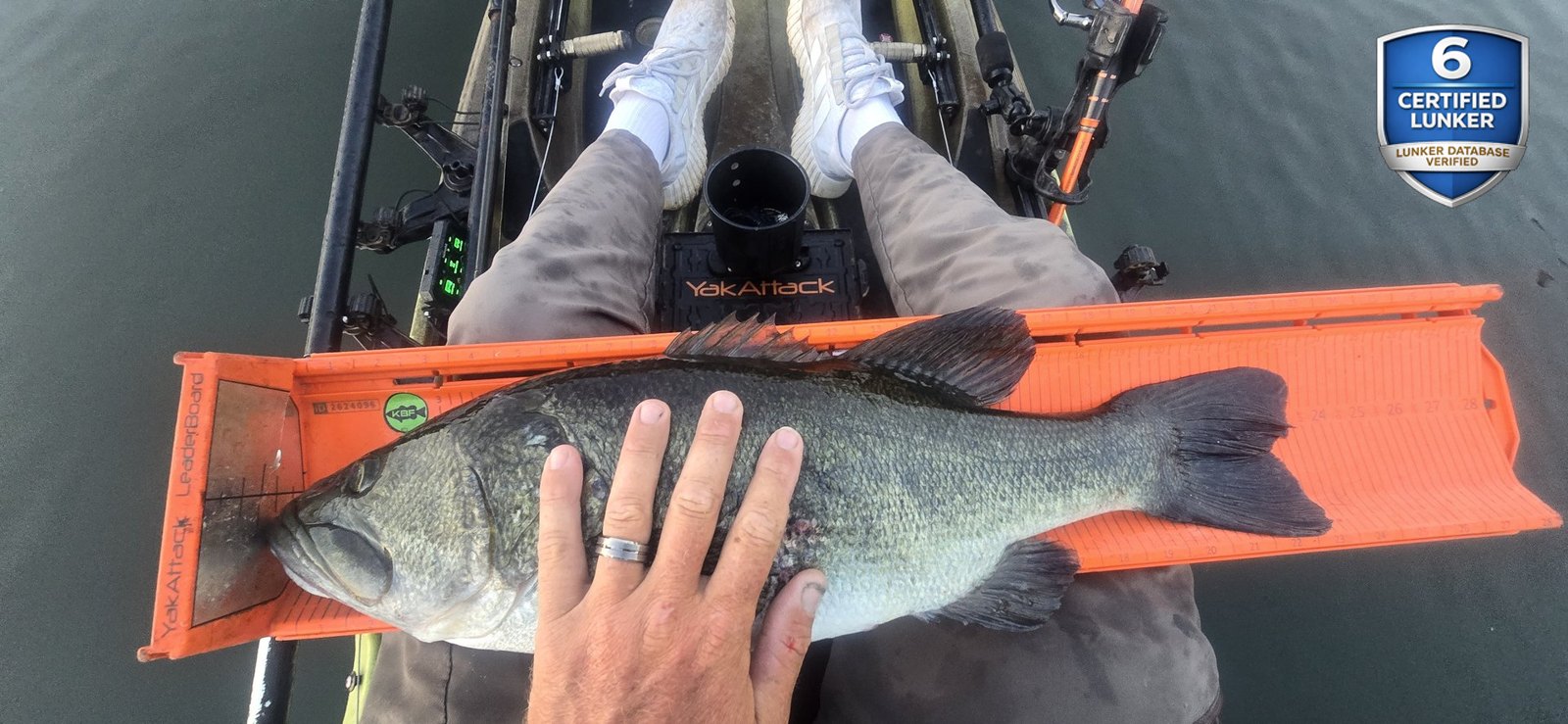 Largemouth Bass catch photo 3