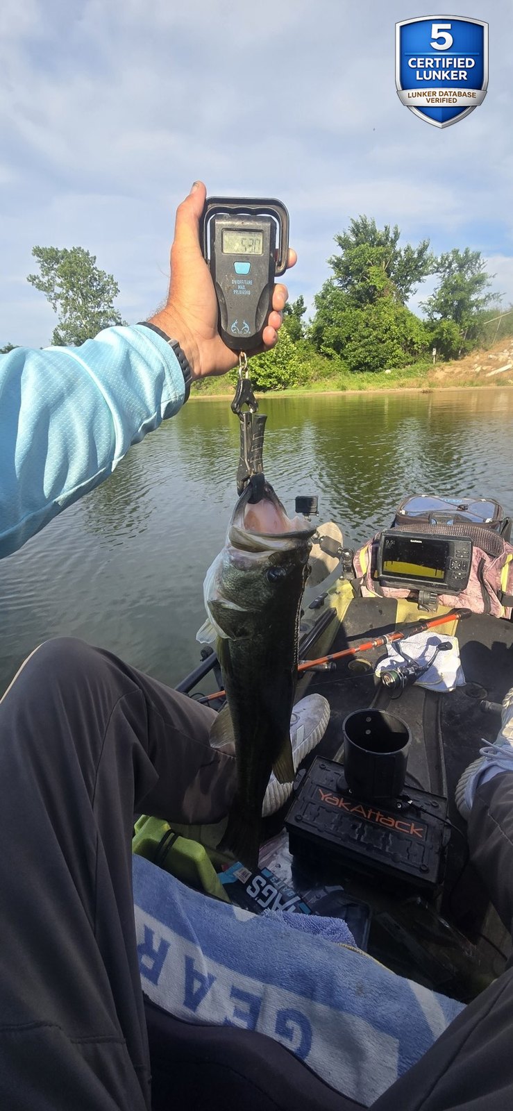 Largemouth Bass catch photo 2