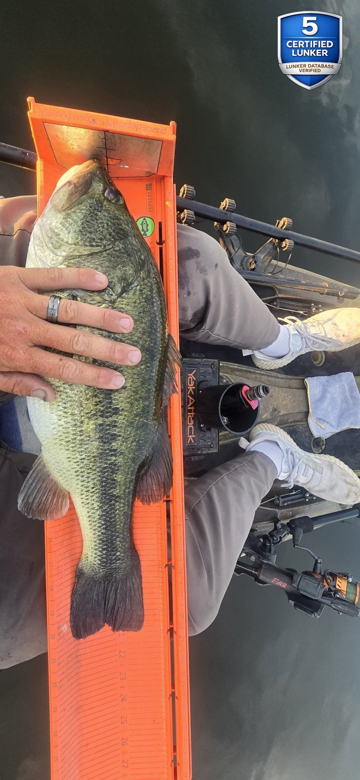 Largemouth Bass catch photo 3