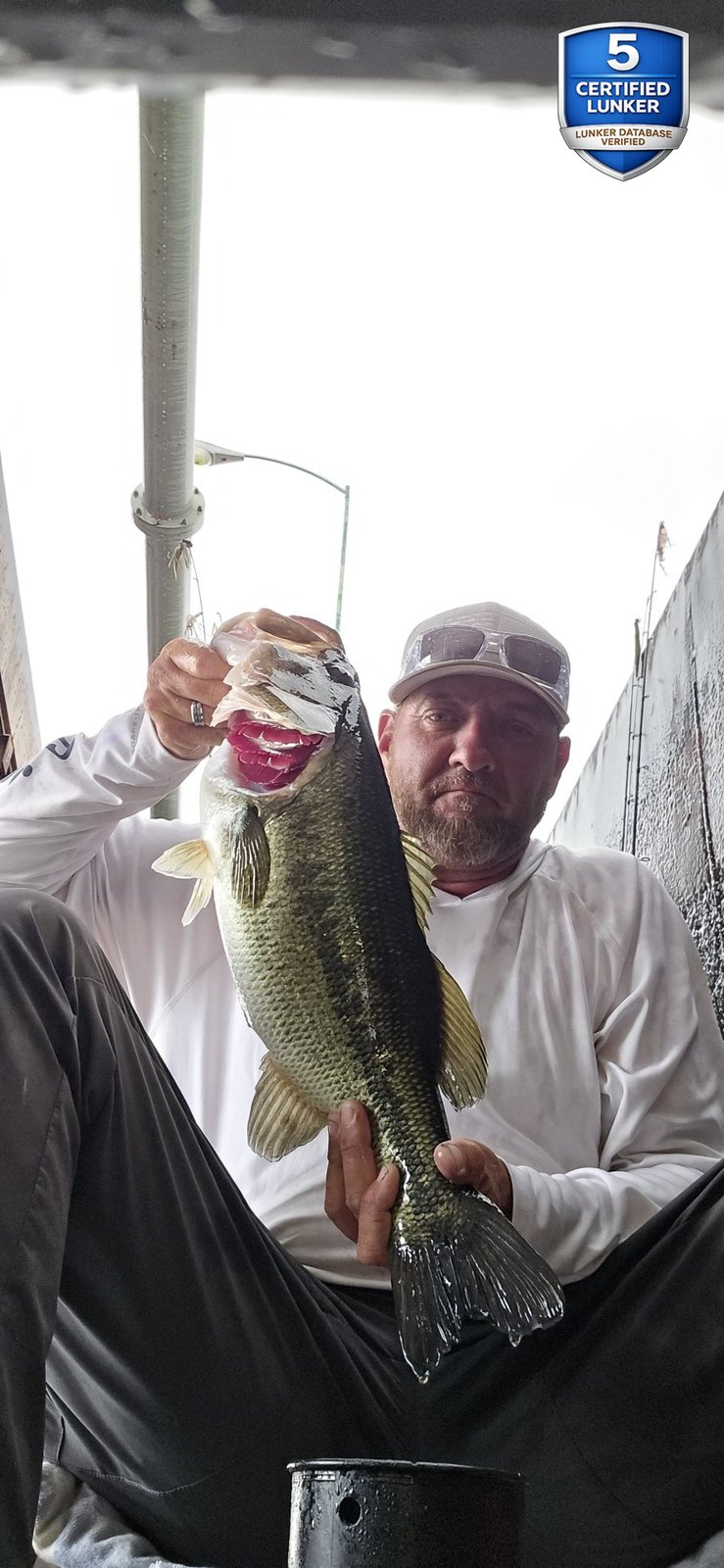 Largemouth Bass catch photo 1