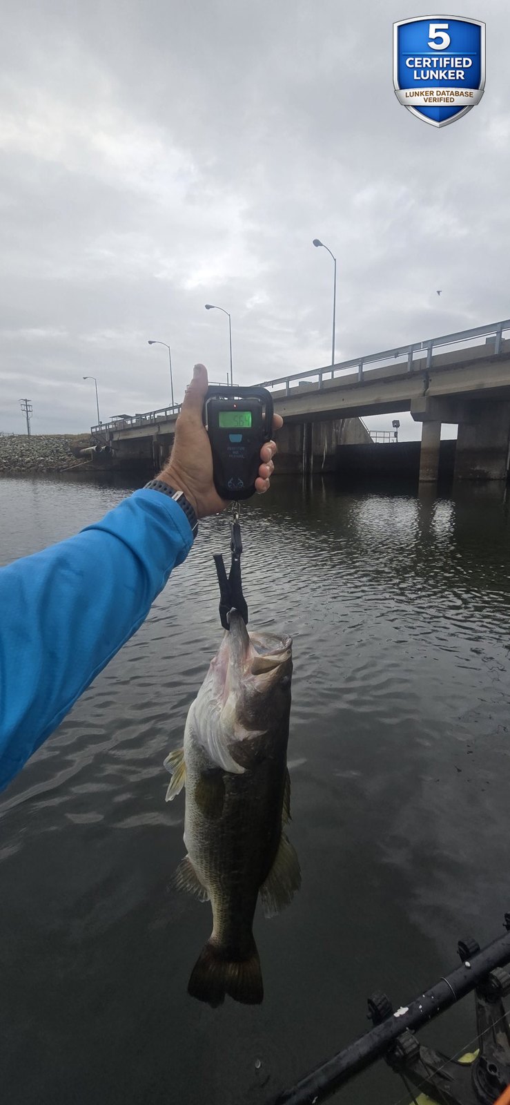 Largemouth Bass catch photo 2
