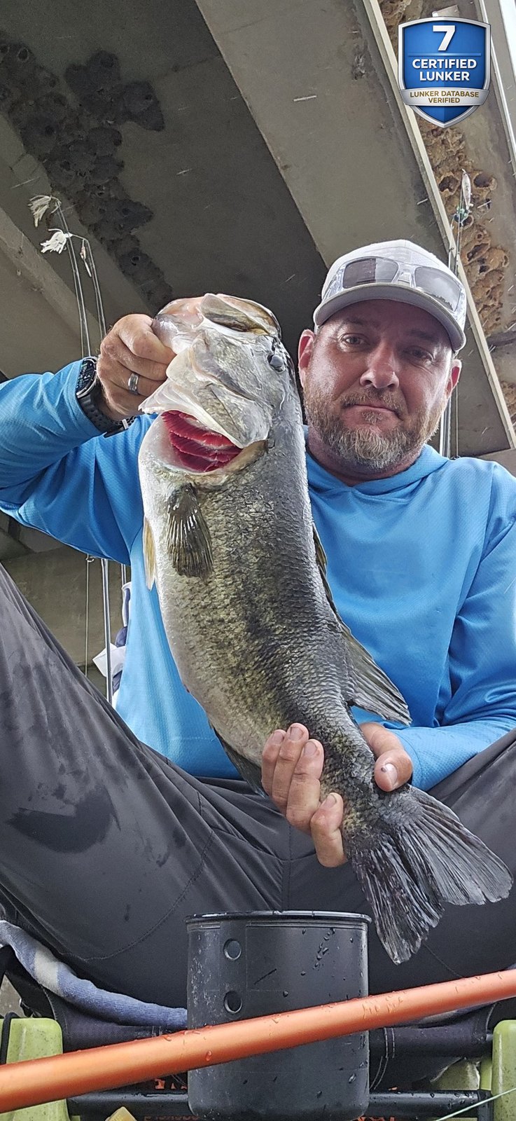 Largemouth Bass catch photo 1