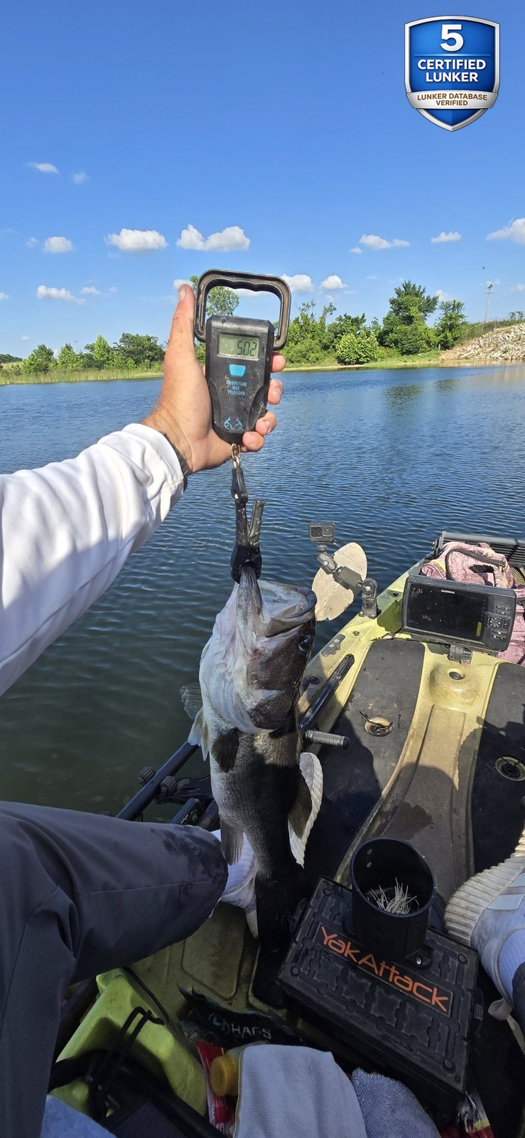 Largemouth Bass catch photo 2