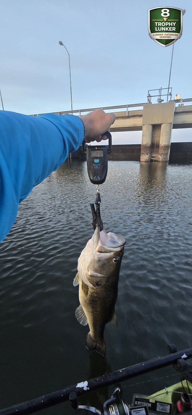Largemouth Bass catch photo 2