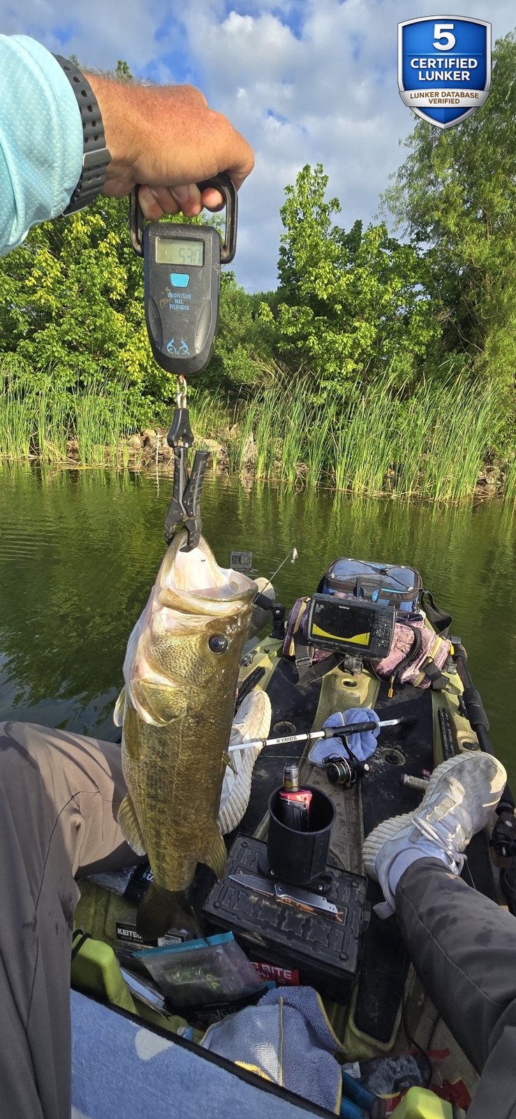 Largemouth Bass catch photo 2