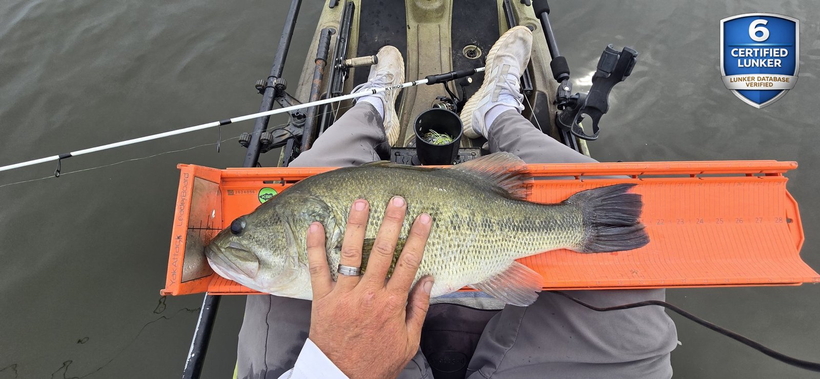Largemouth Bass catch photo 3
